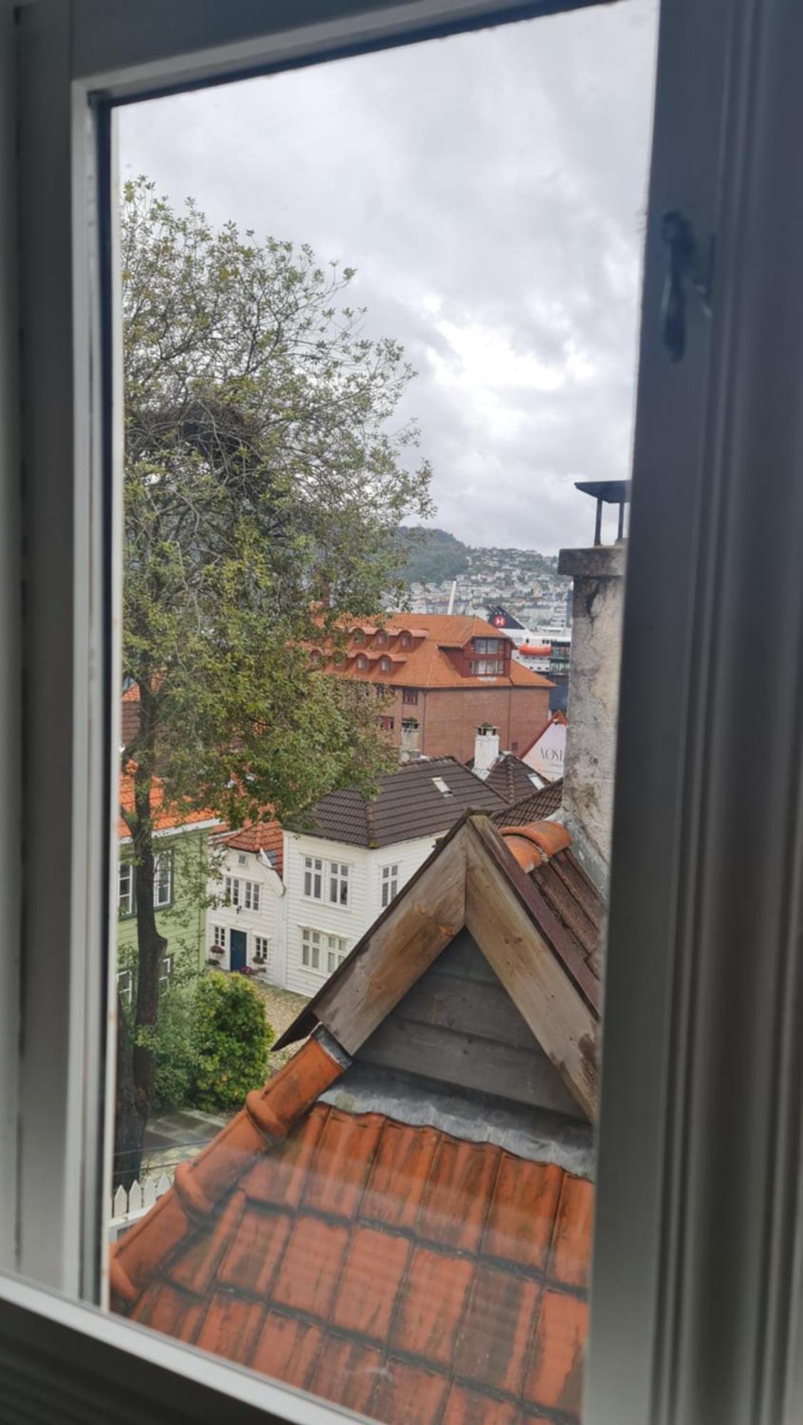 Amunds Apartment Bergen Dış mekan fotoğraf